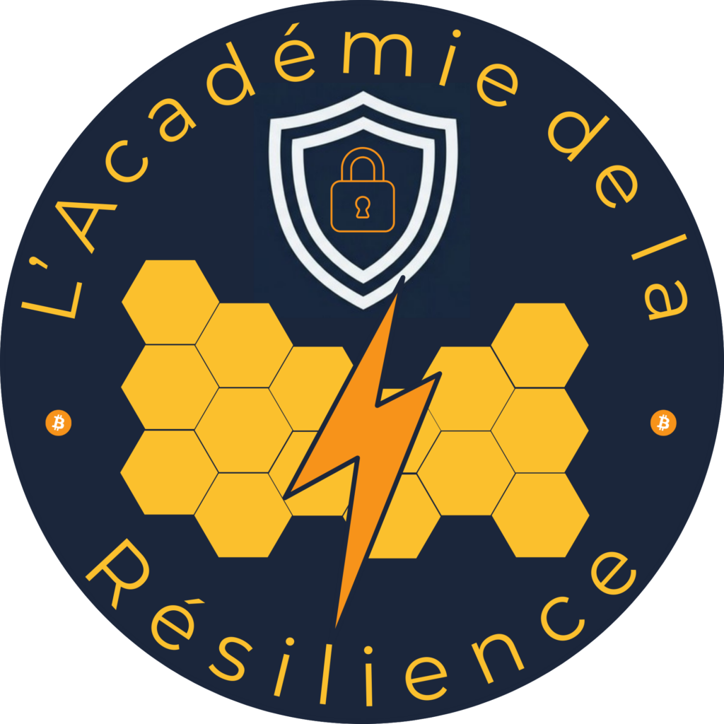 l'académie de la résilience
