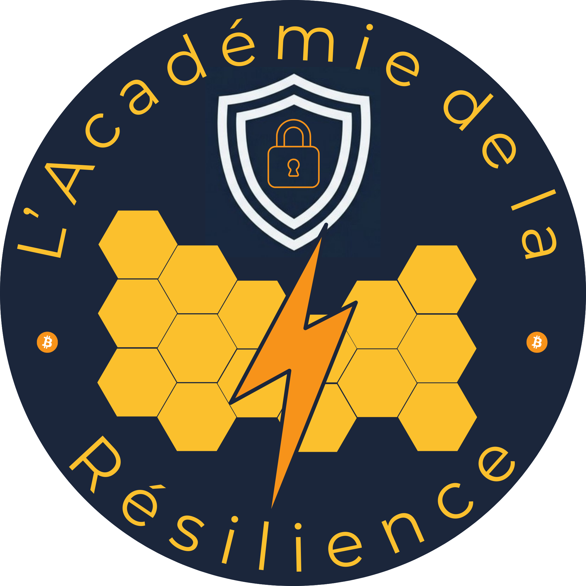 l'académie de la résilience