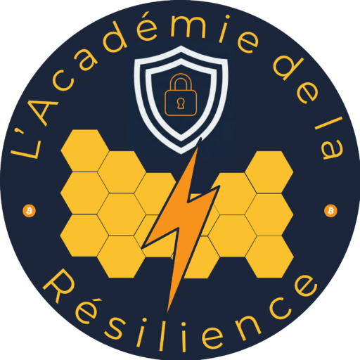 l'académie de la résilience